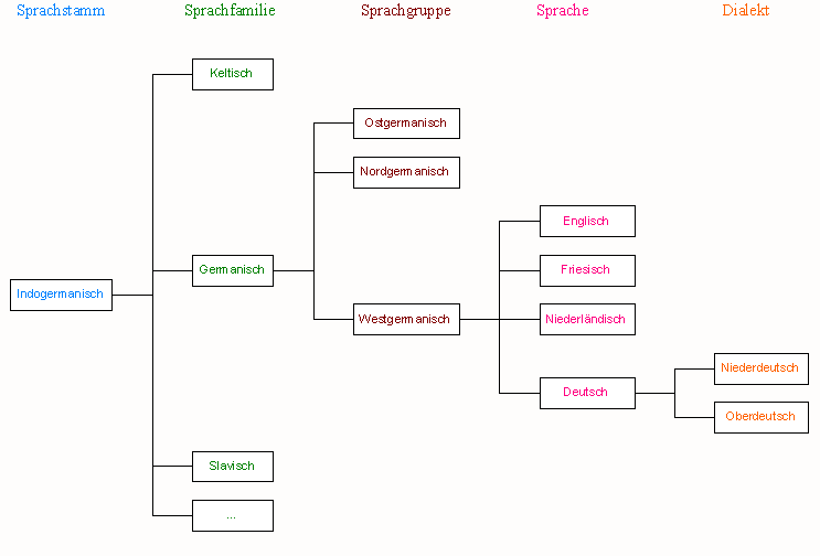 Ebenen genetischer Verwandtschaft